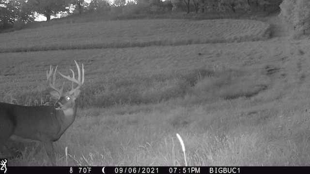 65.61AC Paulus Rd, Spring Green, WI 54588