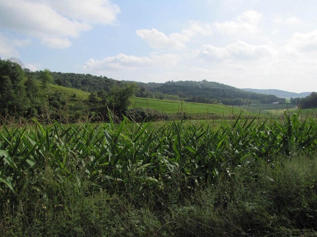 65.61AC Paulus Rd, Spring Green, WI 54588