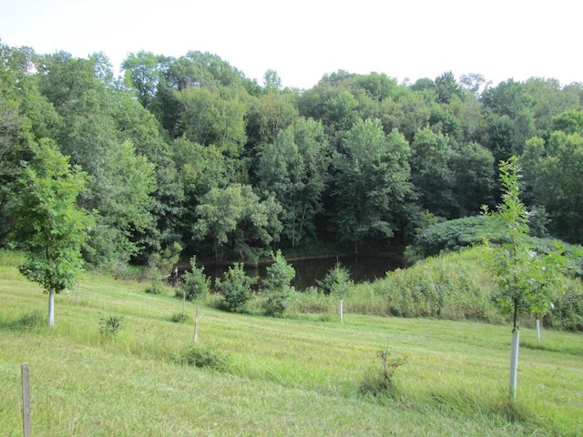 65.61AC Paulus Rd, Spring Green, WI 54588