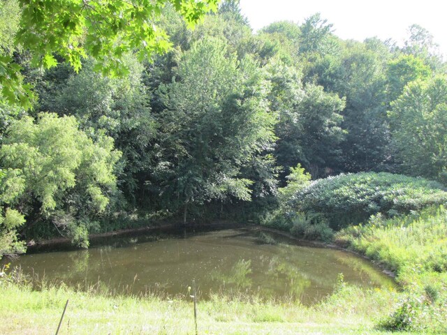 65.61AC Paulus Rd, Spring Green, WI 54588
