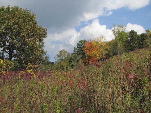65.61AC Paulus Rd, Spring Green, WI 54588
