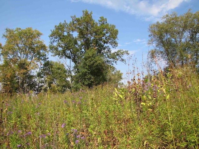 65.61AC Paulus Rd, Spring Green, WI 54588
