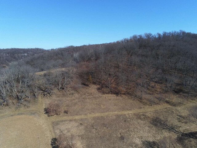 65.61AC Paulus Rd, Spring Green, WI 54588