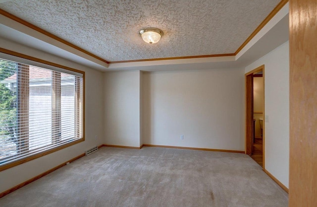 821 Ondossagon Way, Madison, WI 53719 - empty room with light colored carpet, a raised ceiling, baseboards, crown molding, and a textured ceiling