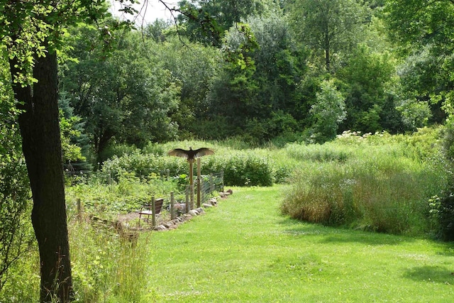 N3684 Petrie Rd, Lake Geneva, WI 53147 - view of green lawn with a view of trees and a vegetable garden