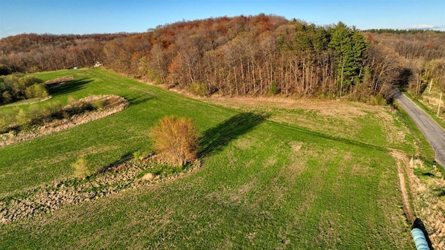W6876 Wafle Rd, Wonewoc, WI 53968