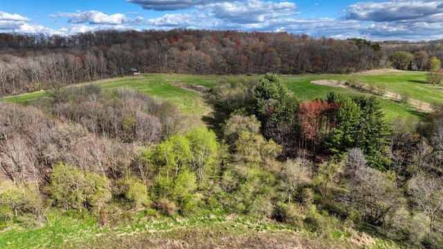 W6876 Wafle Rd, Wonewoc, WI 53968