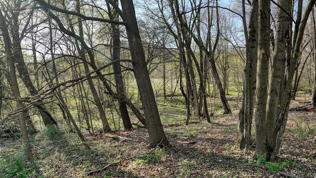 W6876 Wafle Rd, Wonewoc, WI 53968