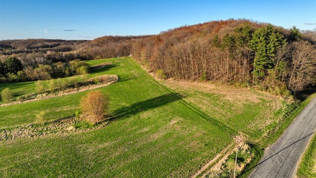 W6876 Wafle Rd, Wonewoc, WI 53968