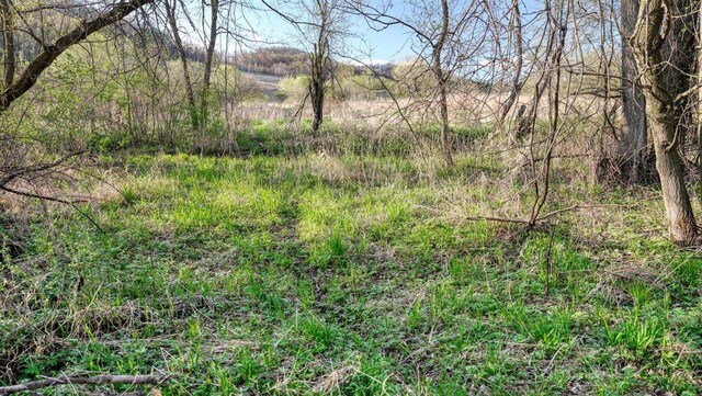 W6876 Wafle Rd, Wonewoc, WI 53968