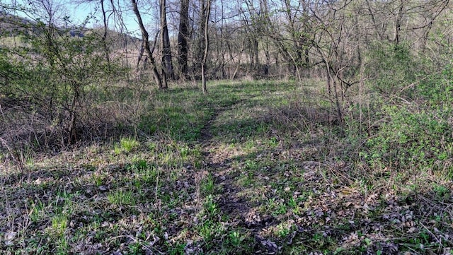 W6876 Wafle Rd, Wonewoc, WI 53968