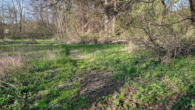 W6876 Wafle Rd, Wonewoc, WI 53968