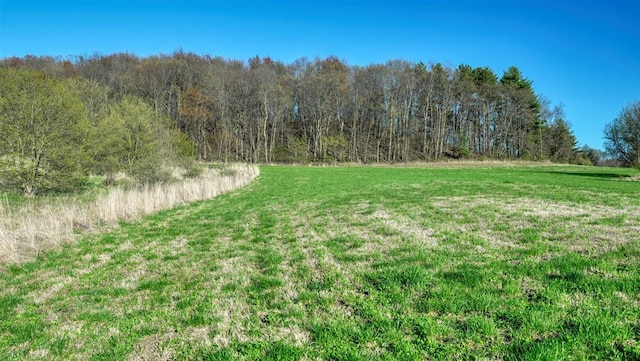 W6876 Wafle Rd, Wonewoc, WI 53968