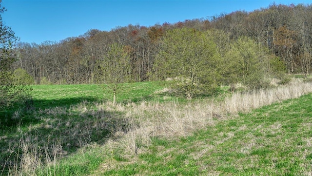 W6876 Wafle Rd, Wonewoc, WI 53968