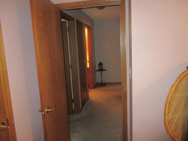 hall with carpet floors