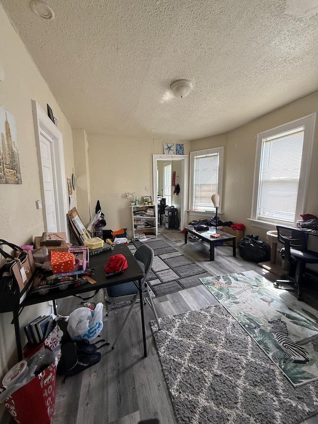 3332 N Richards St, Milwaukee, WI 53212 - living room featuring wood finished floors and a textured ceiling