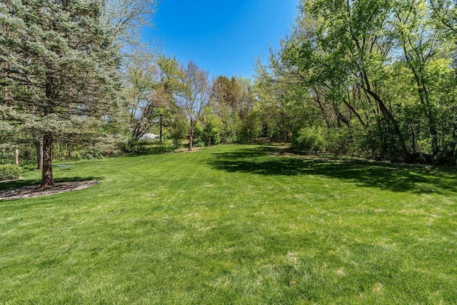 7929 N Pine View Dr, Edgerton, WI 53534 - view of grassy yard