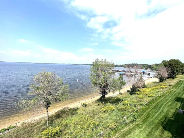 1822-3 Parkland Dr Unit 0703, Arkdale, WI 54613 - water view