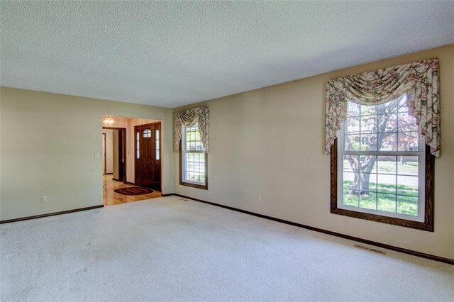 1206 Nixon Ave, Eau Claire, WI 54701 - carpeted spare room featuring plenty of natural light, a textured ceiling, and baseboards