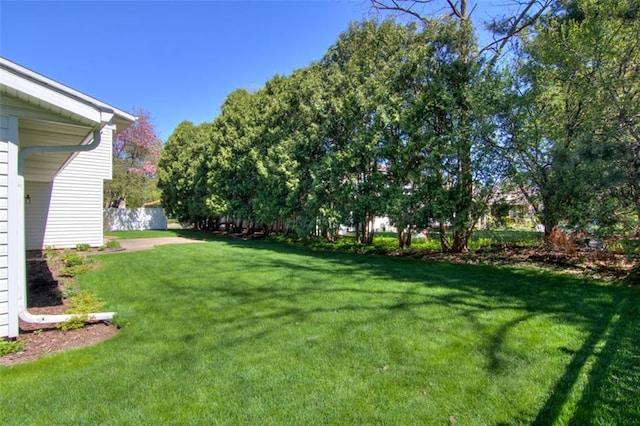 1206 Nixon Ave, Eau Claire, WI 54701 - view of grassy yard