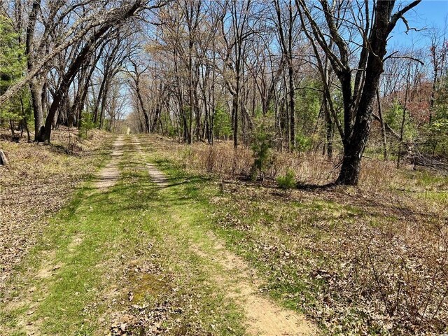 22045 Zink Rd, Fairchild, WI 54741