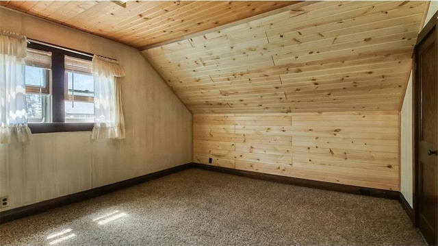41 E Euclid Ave, Barron, WI 54812 - bonus room with wooden ceiling, wooden walls, lofted ceiling, and dark carpet