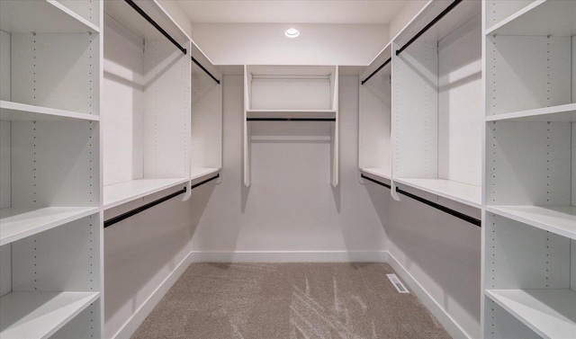 713 Kennedy St, Sauk City, WI 53583 - spacious closet with light carpet