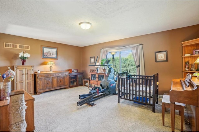 2136 62nd St, Somerset, WI 54025 - exercise area featuring light colored carpet and a textured ceiling