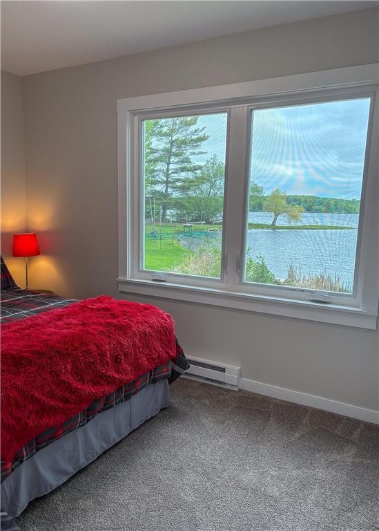 11445 State Highway 48, Luck, WI 54853 - bedroom featuring baseboard heating, carpet, and baseboards