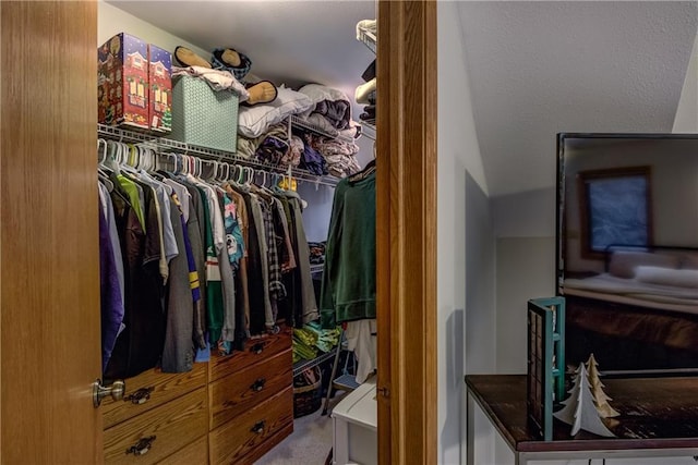 1813 Abbe Hill Dr, Eau Claire, WI 54703 - walk in closet with carpet flooring