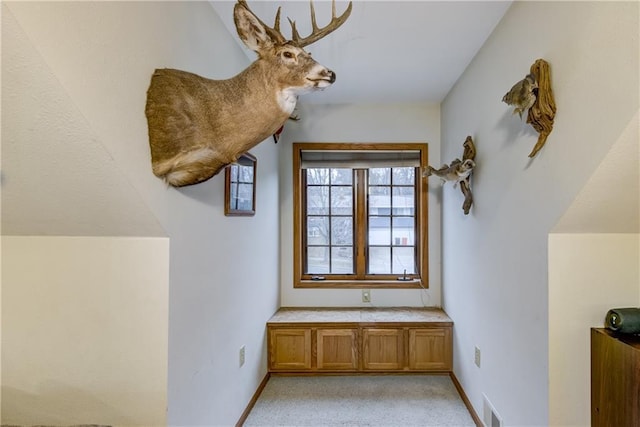 1813 Abbe Hill Dr, Eau Claire, WI 54703 - bonus room with light carpet and baseboards