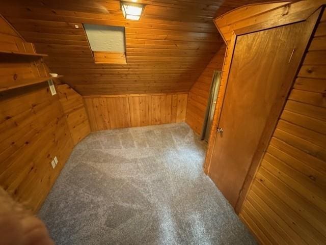 1404 Silver Mine Dr, Eau Claire, WI 54703 - bonus room with wood walls, wood ceiling, carpet flooring, and vaulted ceiling