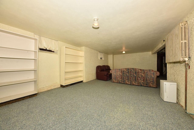 3434 N 45th St, Milwaukee, WI 53216 - finished below grade area with carpet floors and a textured wall