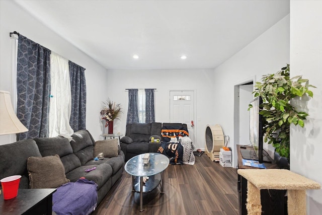 423 Maryhill Dr, Green Bay, WI 54303 - living room featuring dark wood-style flooring and recessed lighting
