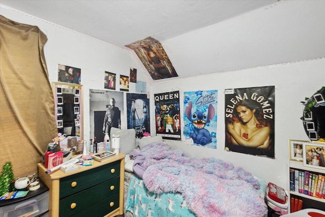 423 Maryhill Dr, Green Bay, WI 54303 - bedroom with lofted ceiling
