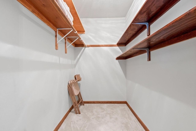2289 Northwood Rd, Green Bay, WI 54313 - walk in closet with carpet floors