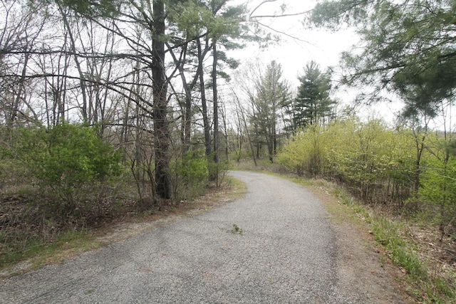 N3177 14th Dr, Montello, WI 53949 - view of road with a wooded view