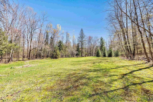 N11598 Helgeson Rd, Iola, WI 54945 - view of green lawn featuring a view of trees