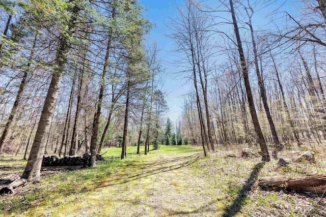 N11598 Helgeson Rd, Iola, WI 54945 - view of yard with a view of trees