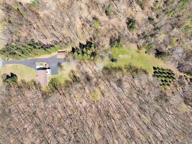 N11598 Helgeson Rd, Iola, WI 54945 - view of subject property