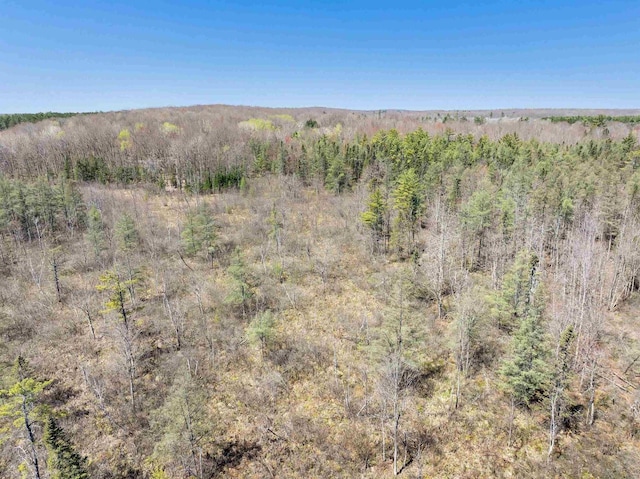N11598 Helgeson Rd, Iola, WI 54945 - view of mountain backdrop with a forest