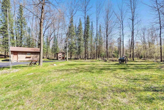 N11598 Helgeson Rd, Iola, WI 54945 - view of grassy yard with an outdoor structure
