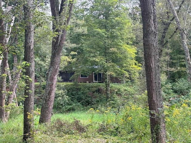 view of wooded area