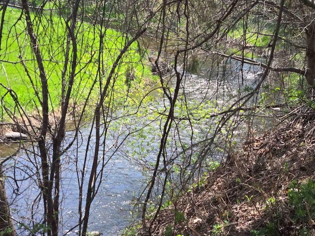 290 S Bridge St, Markesan, WI 53946 - water view