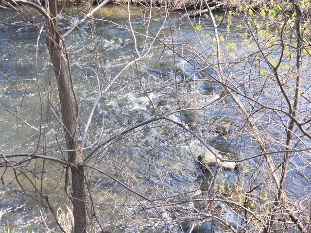 290 S Bridge St, Markesan, WI 53946 - view of local wilderness