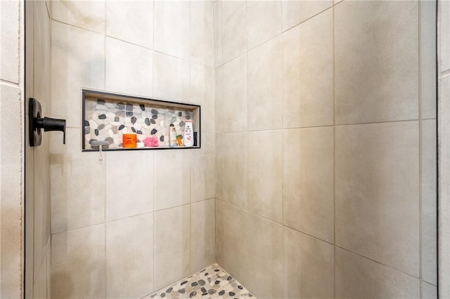 bathroom view of a tile shower
