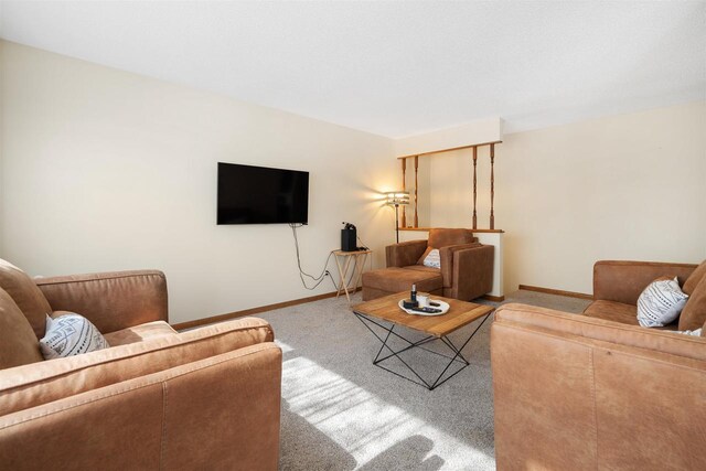 840 Waterworks Rd, Nekoosa, WI 54457 - living area featuring carpet floors and baseboards