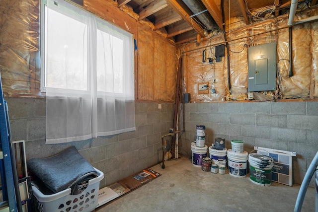 840 Waterworks Rd, Nekoosa, WI 54457 - below grade area with electric panel and concrete block wall