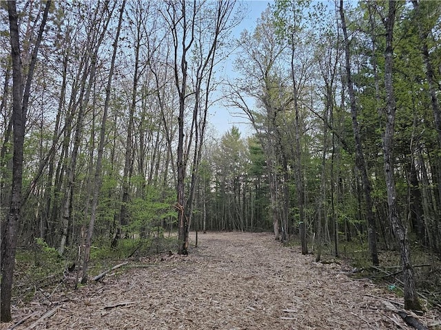 LOT8 2.08/-ACRES 295th Ave, Holcombe, WI 54745