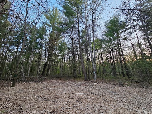 LOT8 2.08/-ACRES 295th Ave, Holcombe, WI 54745